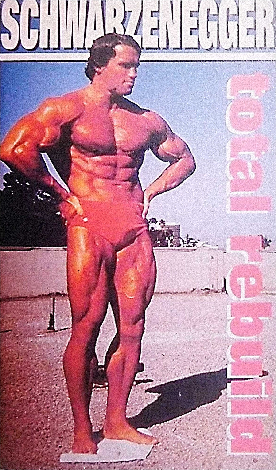 Постер Schwarzenegger: Total Rebuild